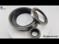 Metal Case Gasket Rubber FKM NBR Oil Seal Mobil Mekanis Oil Sealing