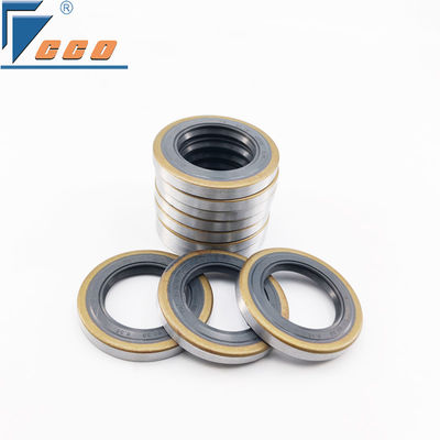 Motor hidraulik TB Tipe Oil Seal Dengan FKM NBR Bahan abu-abu