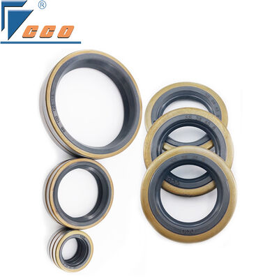 Segel otomotif yang bekerja dengan gas dengan kinerja penyegelan yang lebih baik untuk mesin